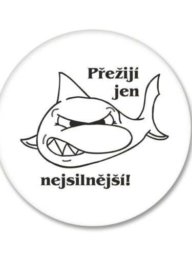 Placka návrh č. 62